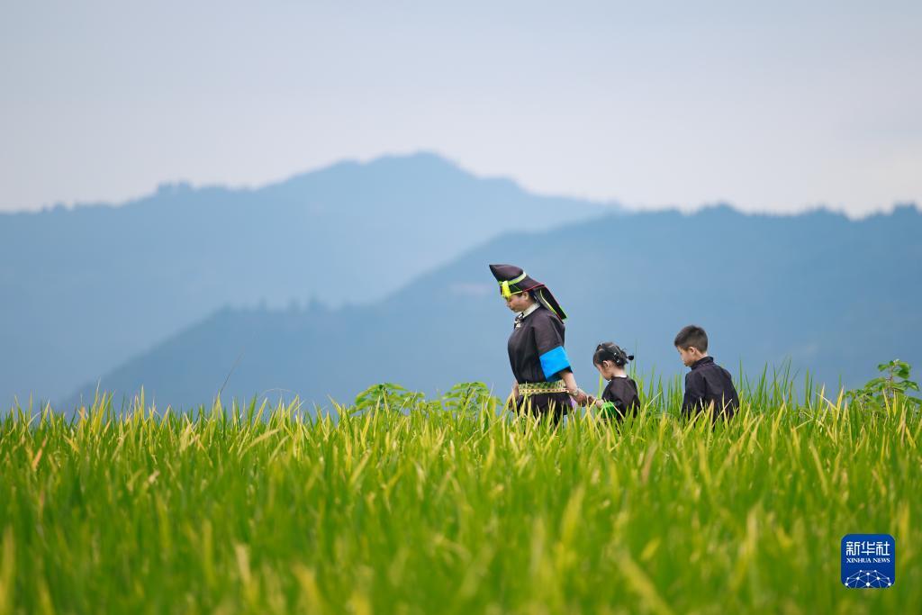 被官方认可赚钱游戏